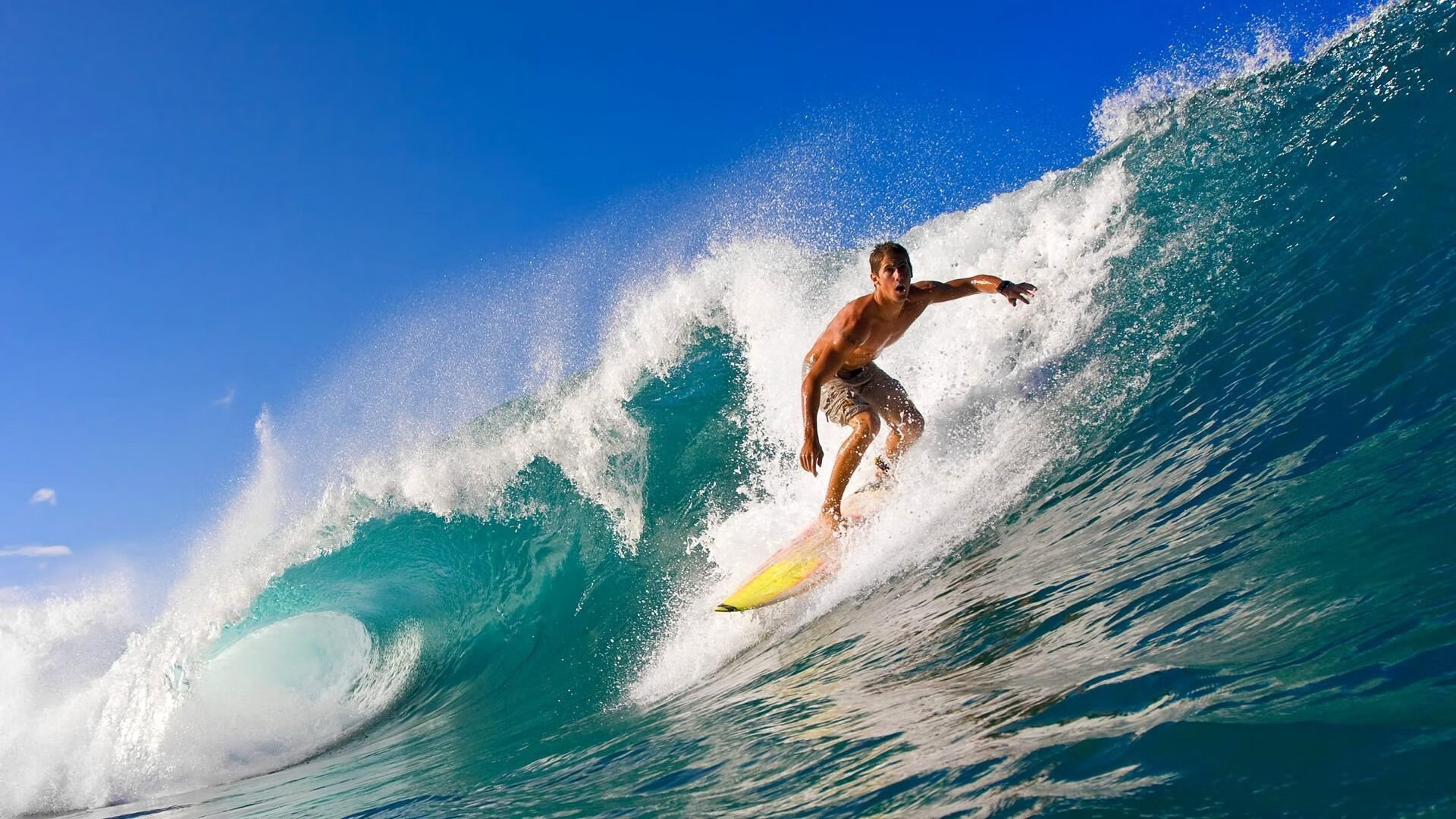 美国马术协会出版“Mustang Challenge”历史专著，记录赛事发展历程。，美国马术金牌